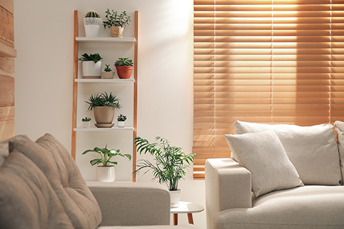 Ladder shelf with plants and decorative items in modern lounge with wooden blinds